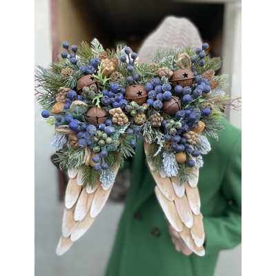 Zimné krídla na zavesenie