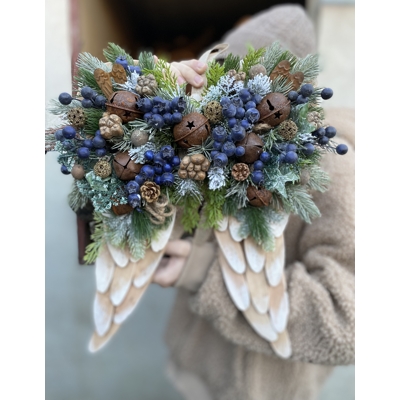 Zimné krídla na zavesenie