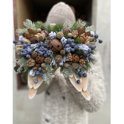 Zimné krídla na zavesenie