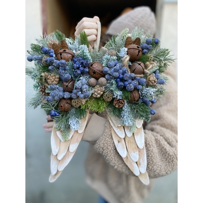 Zimné krídla na zavesenie