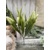 Trs bodliak 34cm
